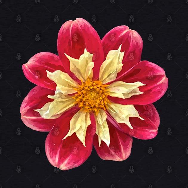 Pretty red yellow Dahlia Botanical Bee Flower Annual Garden by BurunduXX-Factory